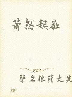 萧然起敬封面