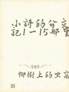 小诗的公交车日记1一15哪里能看