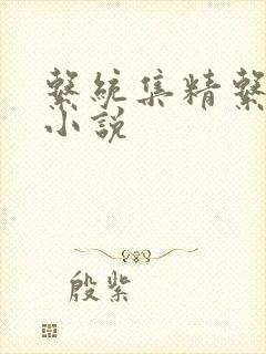 系统集精系统 小说