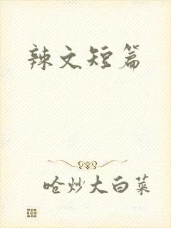 辣文短篇