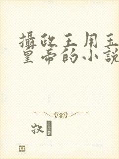 摄政王用玉髓整皇帝的小说