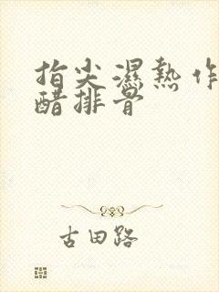 指尖湿热作者糖醋排骨