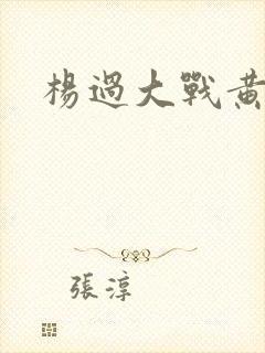 杨过大战黄蓉封面