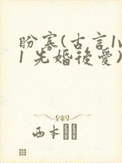 盼寡(古言1v1 先婚后爱)