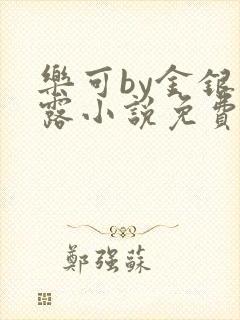 乐可by金银花露小说免费阅读封面