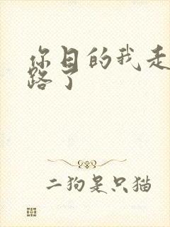 你日的我走不了路了封面