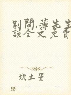 别闹,薄先生小说全文免费阅读