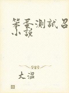 笨蛋测试召唤兽小说