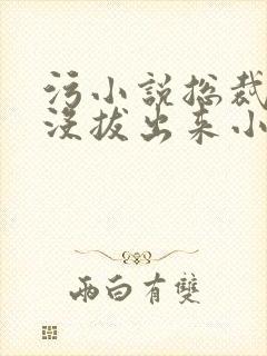 污小说总裁整夜没拔出来小说在线阅读