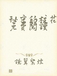 秘密的校花小说免费阅读封面