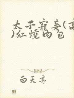 太子宠妾(高肉)红烧肉包封面