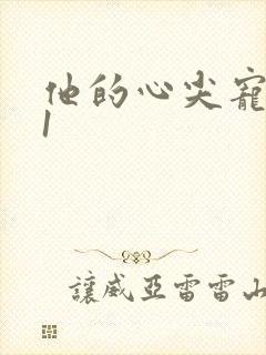 他的心尖宠1v1封面