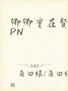 卿卿实在贤良NPN