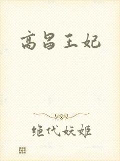 高昌王妃封面