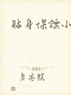 贴身保镖小说封面