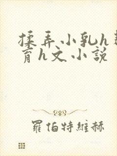 揉弄小乳h帮发育h文小说