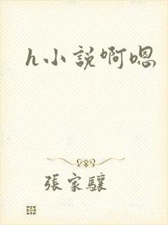 h小说啊嗯
