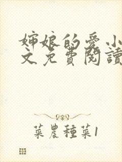 婶娘的爱小说全文免费阅读