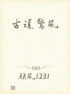 古道惊风封面