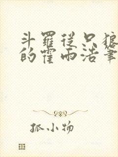 斗罗从只狼归来的霍雨浩笔趣阁