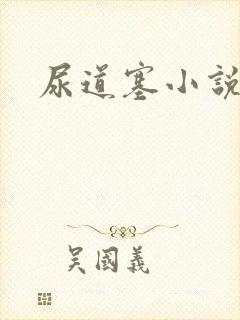 尿道塞小说封面