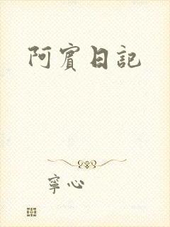阿宾日记
