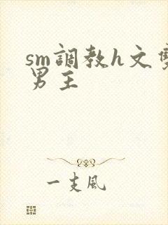 sm调教h文双男主