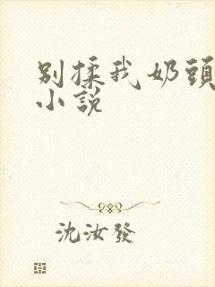 别揉我奶头嗯啊小说