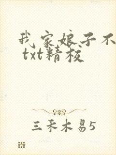 我家娘子不对劲 txt精校