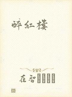 醉红楼封面