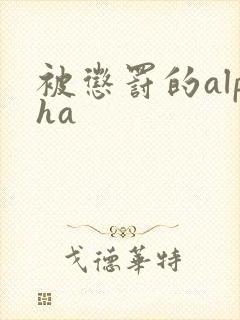 被惩罚的alpha