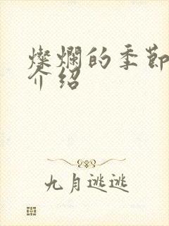 灿烂的季节剧情介绍