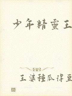 少年精灵王