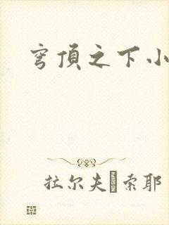 穹顶之下小说封面