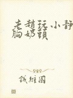 老赵玩小静揉捏胸奶头