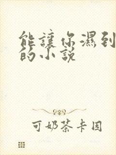 能让你湿到不行的小说