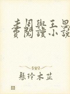 老周与王思琪免费阅读小说封面