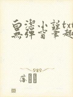 白洁小说txt无弹窗笔趣阁