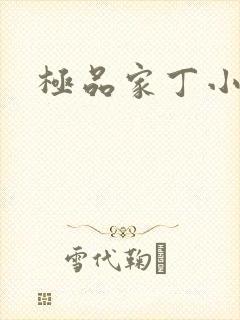 极品家丁小说封面