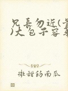 兄长勿近(骨科)大包子容华封面