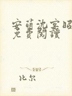 安萌沈宴昭小说免费阅读