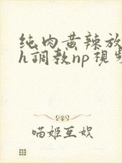 纯肉黄辣放荡高h调教np视频