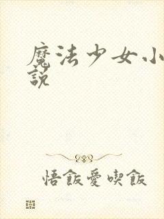 魔法少女小圆小说