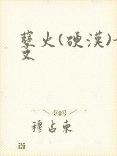 孽火(硬汉)今又封面