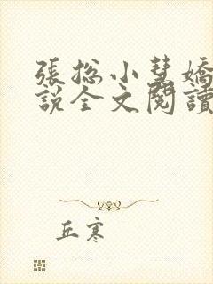 张总小慧娇妻小说全文阅读