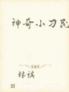 神奇小刁民封面