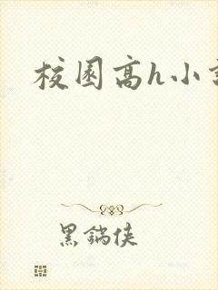 校园高h小说封面