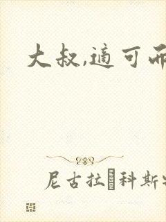 大叔,适可而止封面