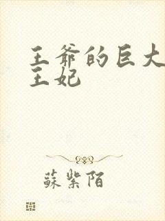 王爷的巨大进入王妃封面
