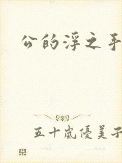 公的浮之手中字封面